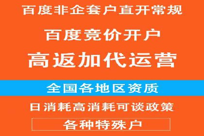 某公司SEM代理策略：实现流量转化